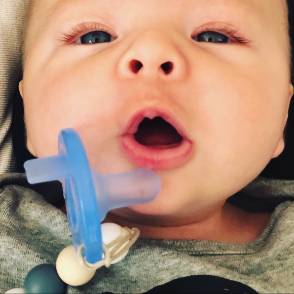 Meet your Posher, Tara - Picture 6 of 9